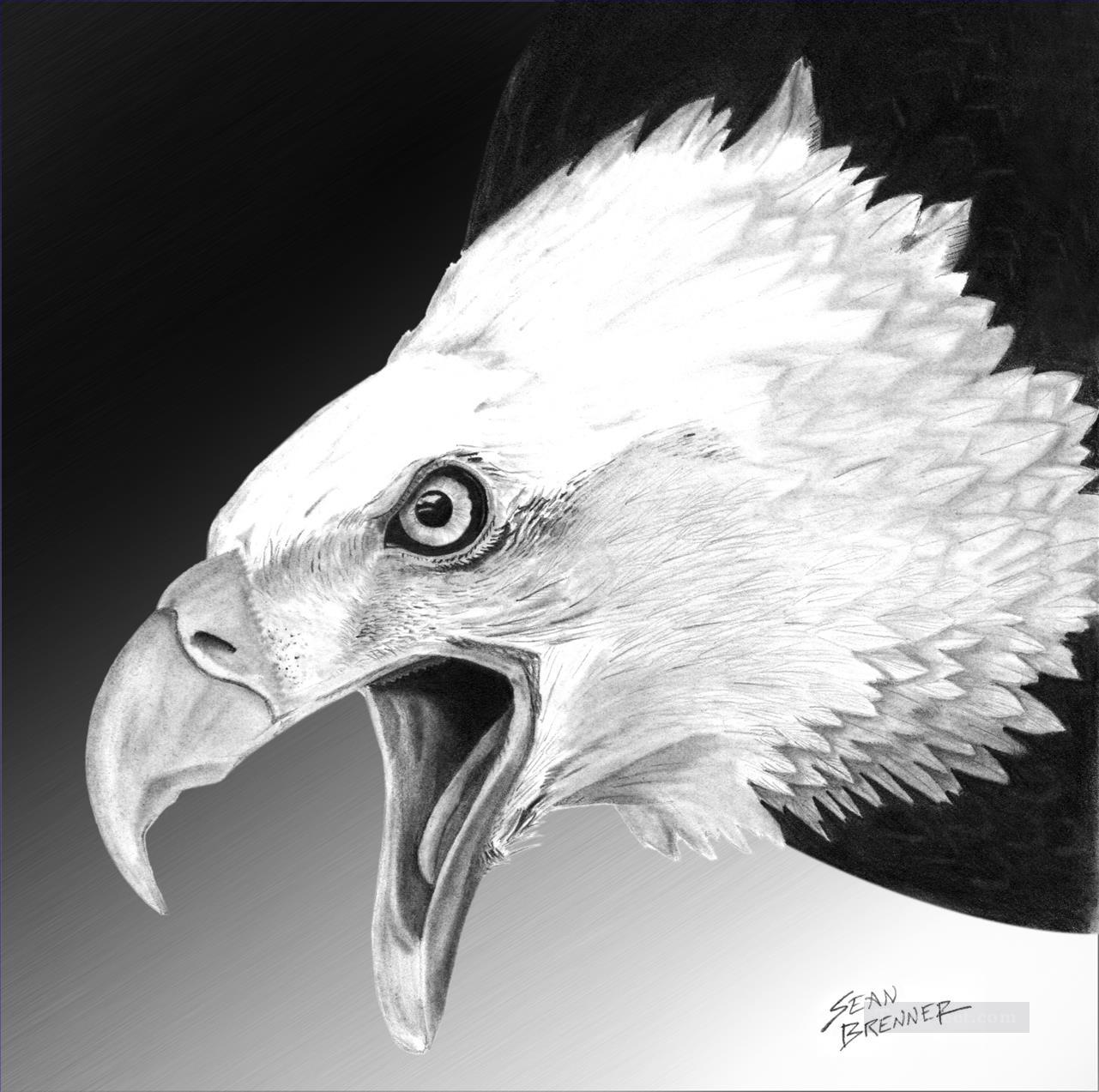white eagle birds Oil Paintings